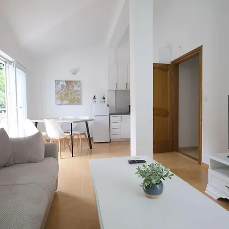 Status-m Seoce 26 * Budva